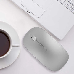 WIWU Ratón Inalámbrico y Bluetooth WH101 Plateado